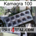 Kamagra 100 30